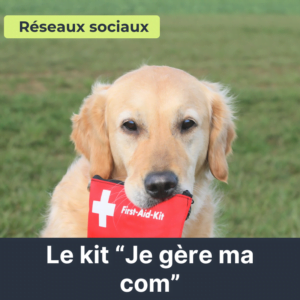 Illustration du kit de gestion de la communication en ligne (réseaux sociaux, publicité)