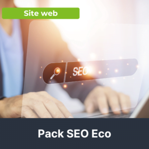 Illustration du pack référencement naturel SEO eco